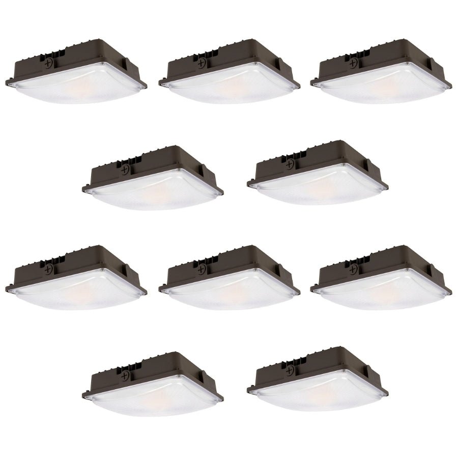 WAWA Lights 10-pack Canopy lights