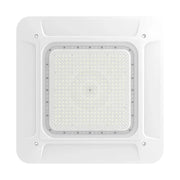 WAWA Lights 240W LED canopy light