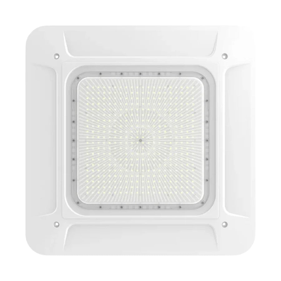 WAWA Lights 240W LED canopy light