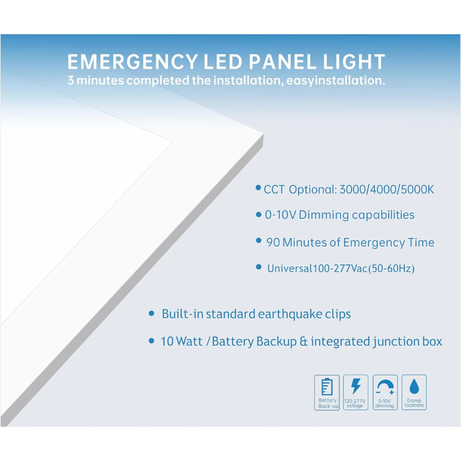 WAWA Lights 2 x 4 LED fixture
