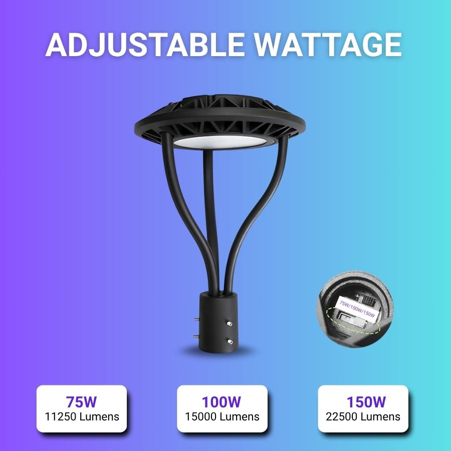 WAWA Lights 150W LED Post Top Area Light