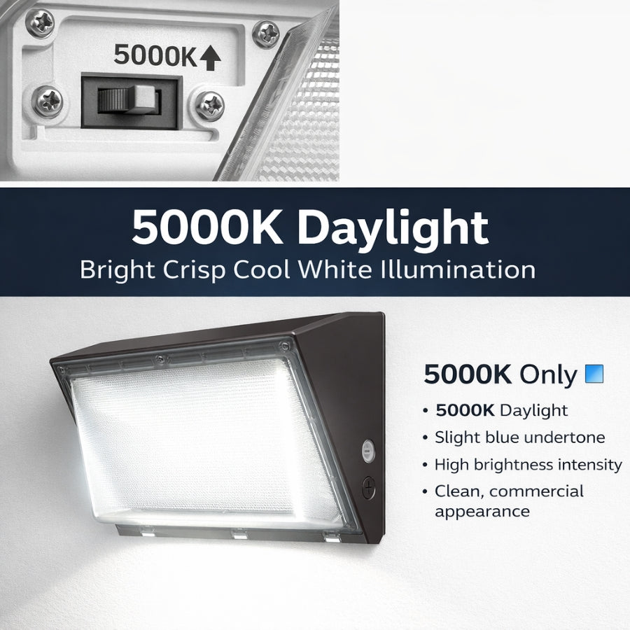 WAWA Lights Semi Cutoff LED Wall Pack Light