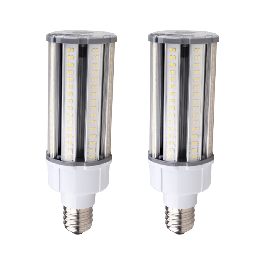 WAWA Lights Two LED corn bulbs