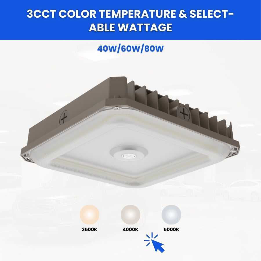 WAWA Lights Canopy mount garage lighting