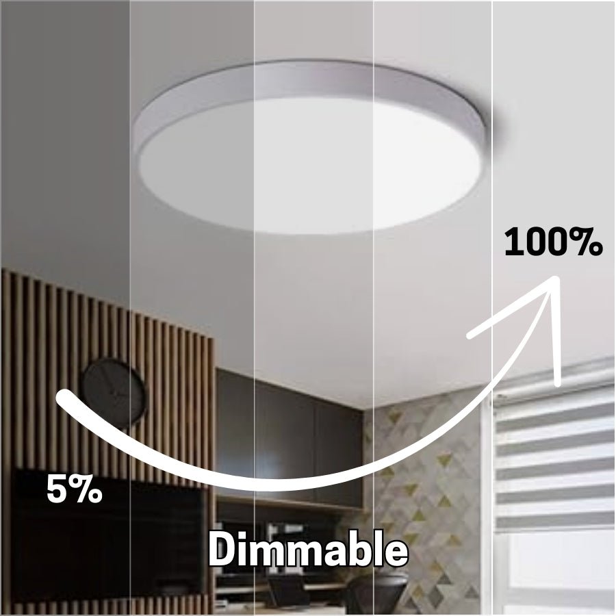 WAWA Lights Dimmable flush mount LED light