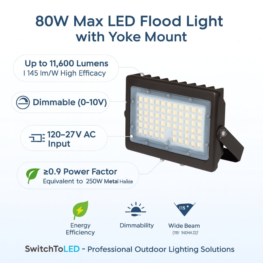 WAWA Lights 300W LED Outdoor Flood Light