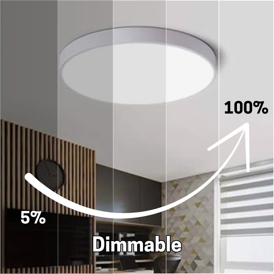 WAWA Lights LED flush mount ceiling light